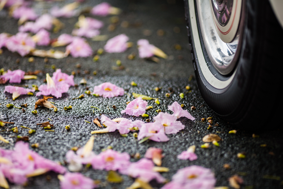 Pothole Season in Kansas: How Road Damage Impacts Your Vehicle